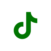 ic-tiktok